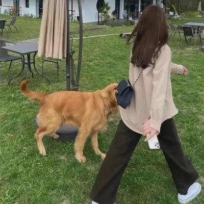 狼群出动